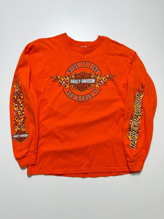 Harley-Davidson Other - Harley Davidson Langley Chapter Flames Long Sleeve T-Shirt Mens Large